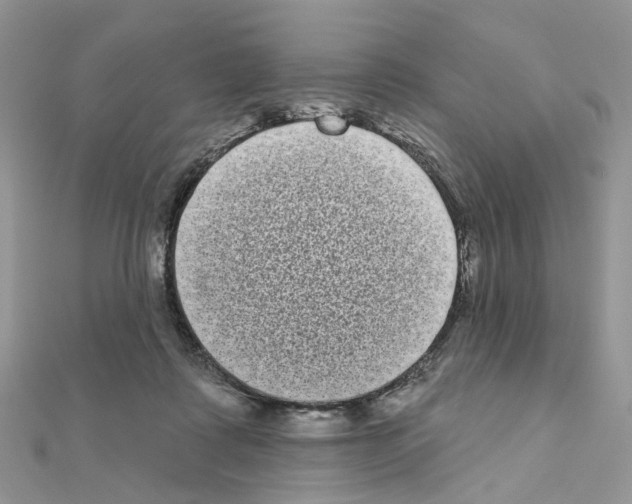 X0000111000315200907311036