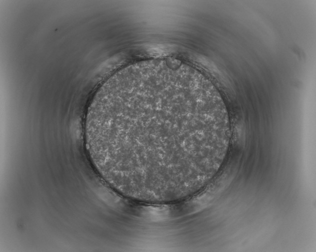 X0000111000317200907311036