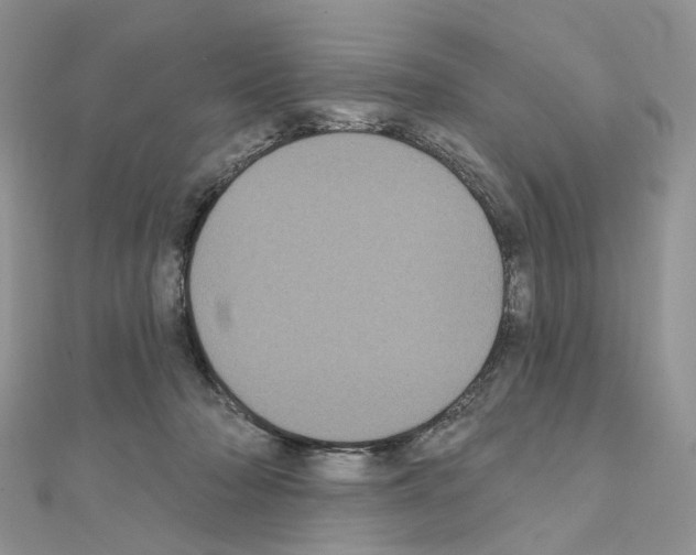 X0000111000318200907311036