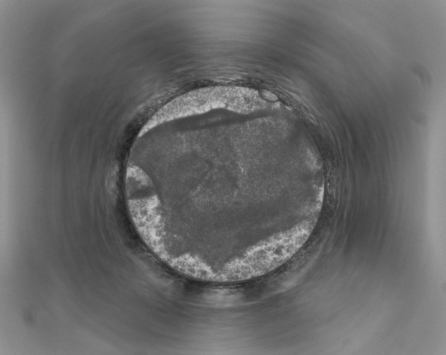 X0000111000319200907311036