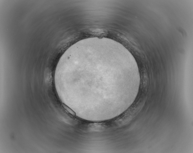 X0000111000320200907311036