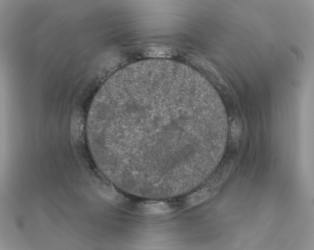 X0000111000322200907311036