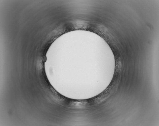 X0000111000323200907311036