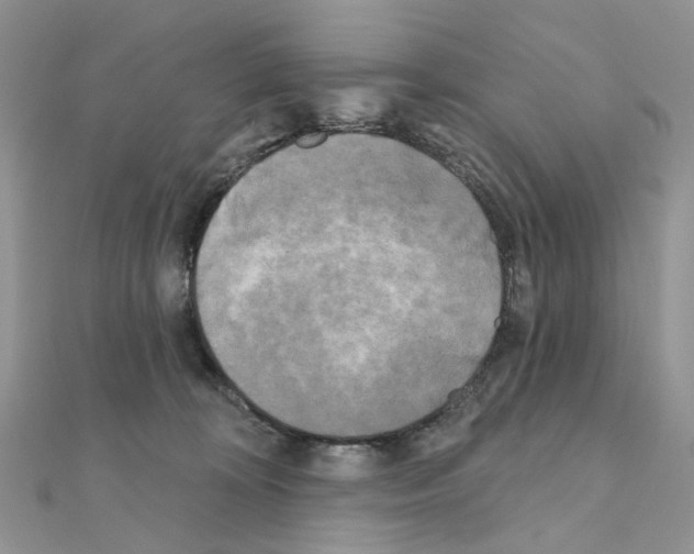 X0000111000324200907311036