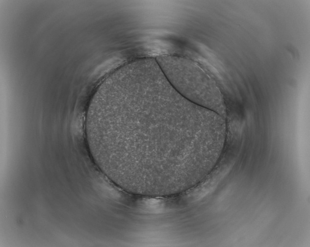 X0000111000325200907311036