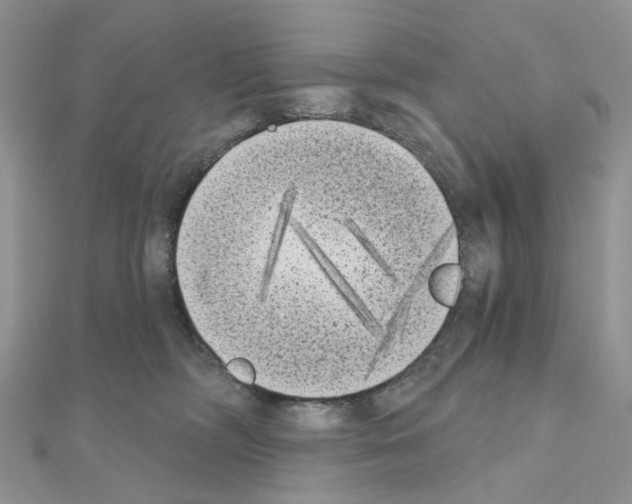 X0000111000326200907311036