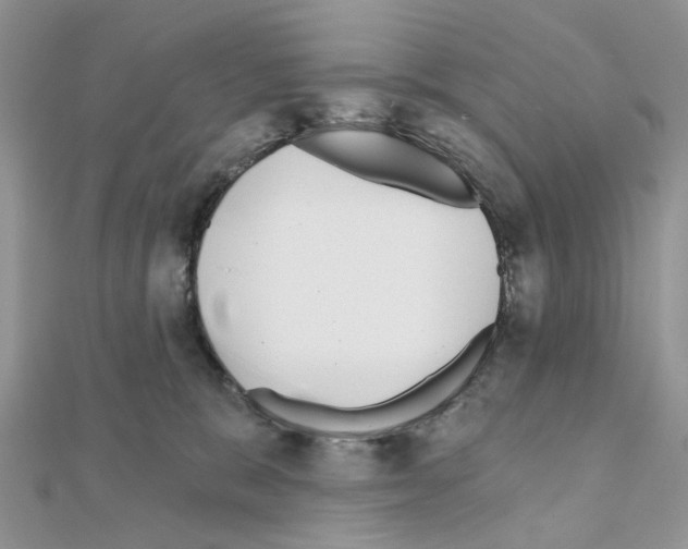 X0000111000327200907311036