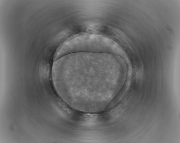 X0000111000328200907311036