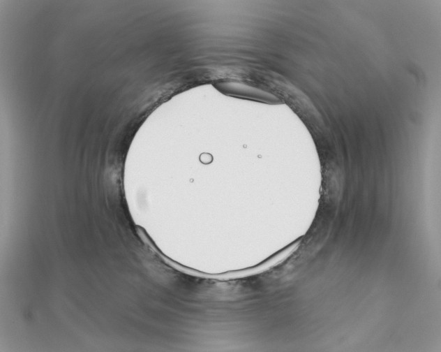 X0000111000329200907311036