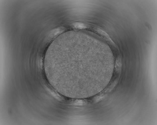 X0000111000330200907311036