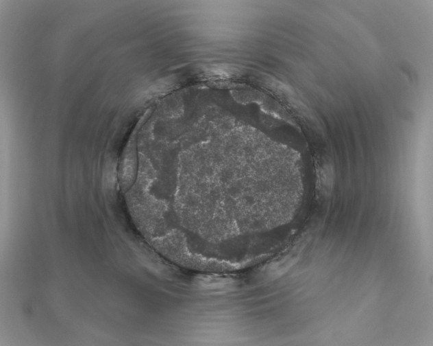 X0000111000331200907311036