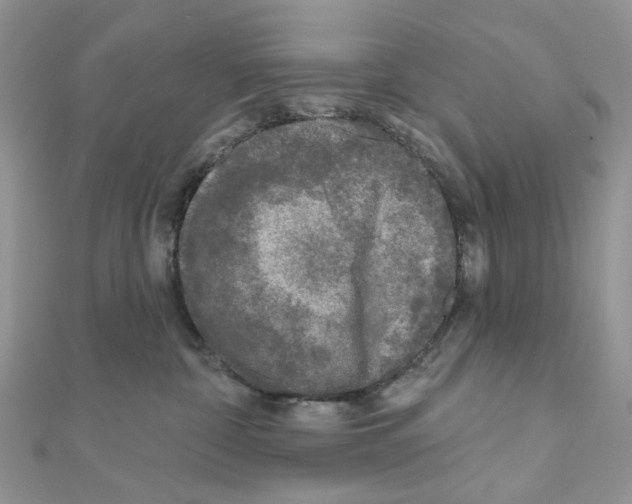 X0000111000332200907311036