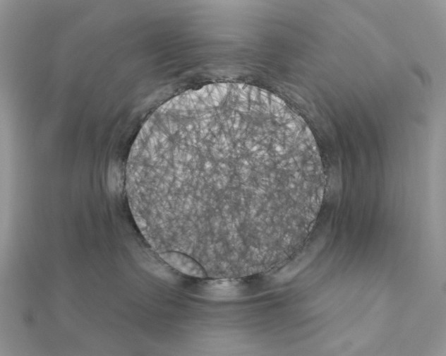 X0000111000335200907311036