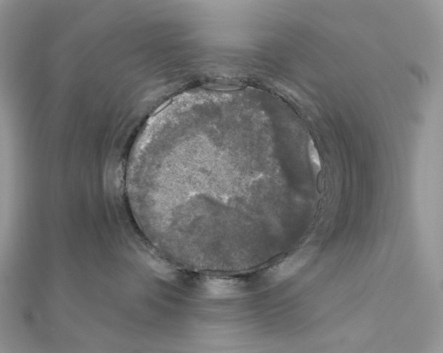 X0000111000336200907311036