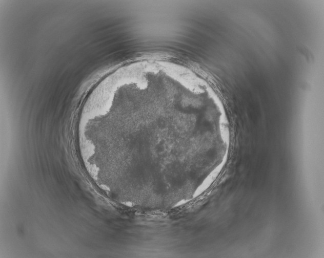 X0000111000337200907311035