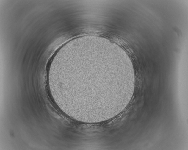 X0000111000338200907311035