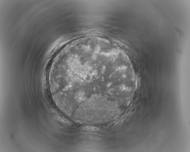 X0000111000339200907311035