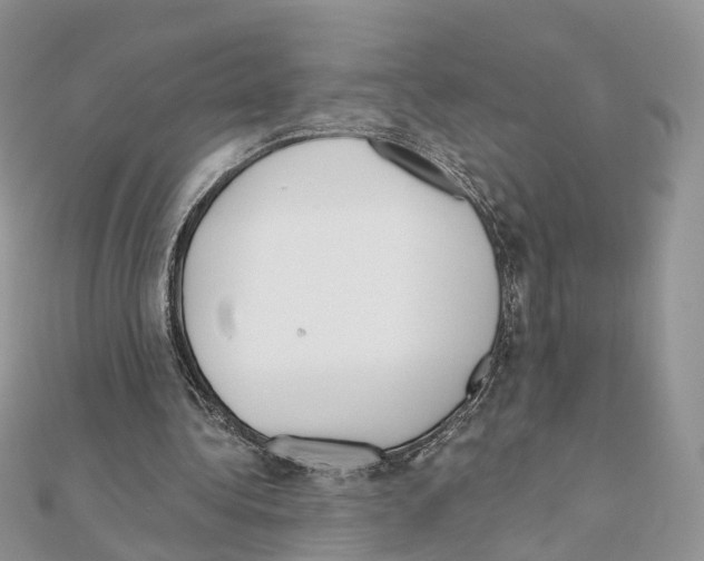 X0000111000340200907311035