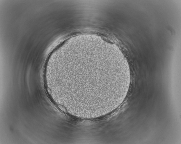 X0000111000341200907311035