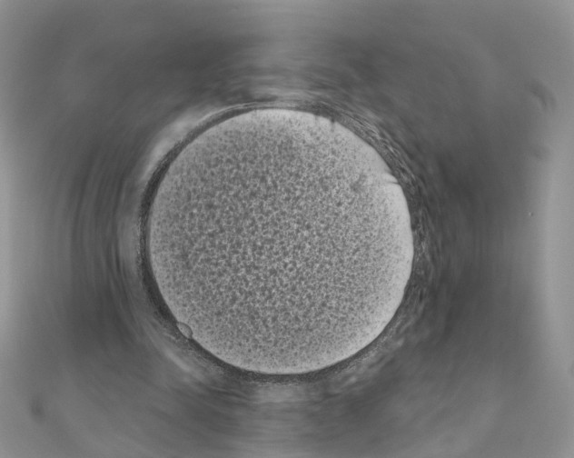 X0000111000342200907311035