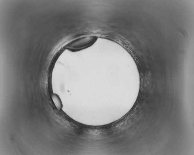 X0000111000344200907311035