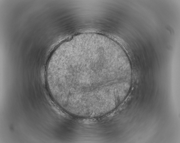 X0000111000345200907311036