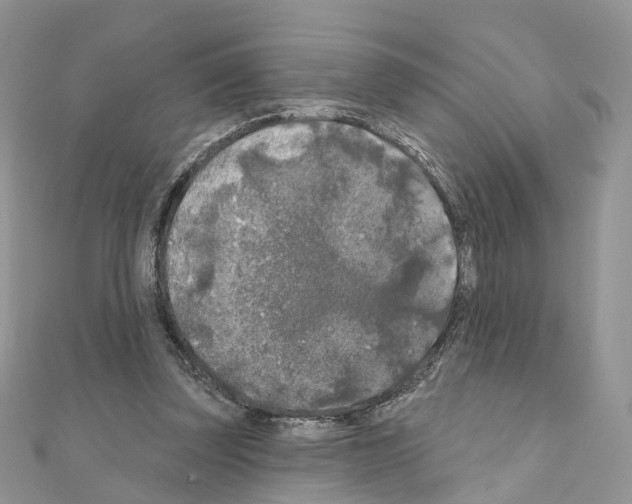 X0000111000347200907311036