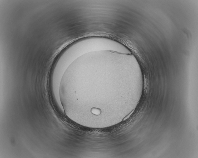 X0000111000348200907311036