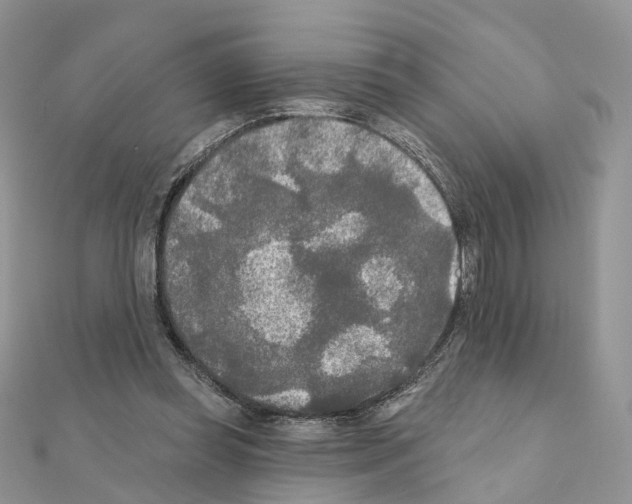 X0000111000349200907311036