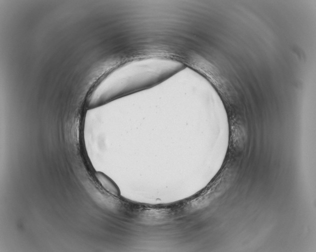 X0000111000350200907311036