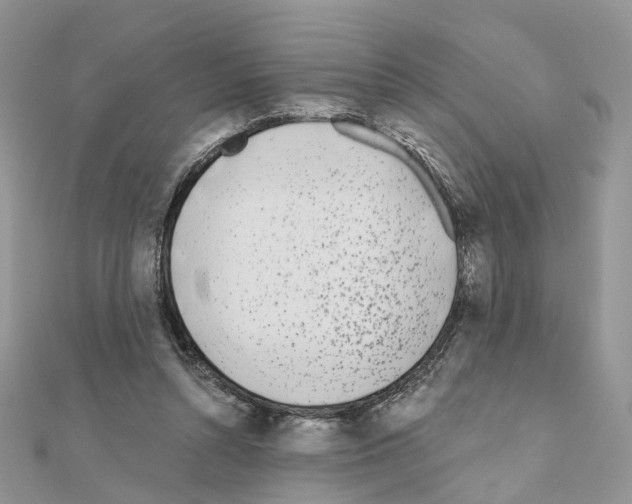 X0000111000352200907311036