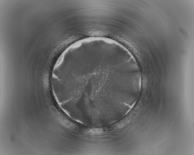 X0000111000353200907311036