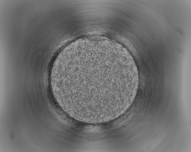 X0000111000354200907311036