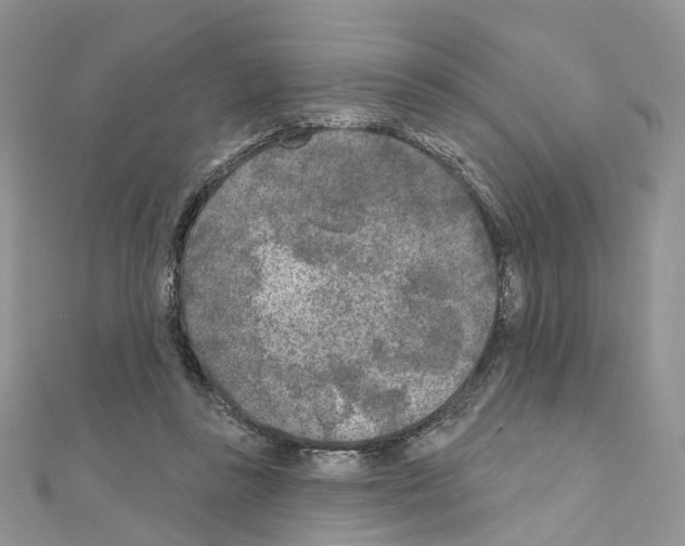 X0000111000355200907311036