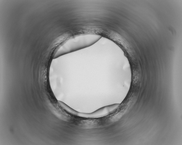 X0000111000356200907311036