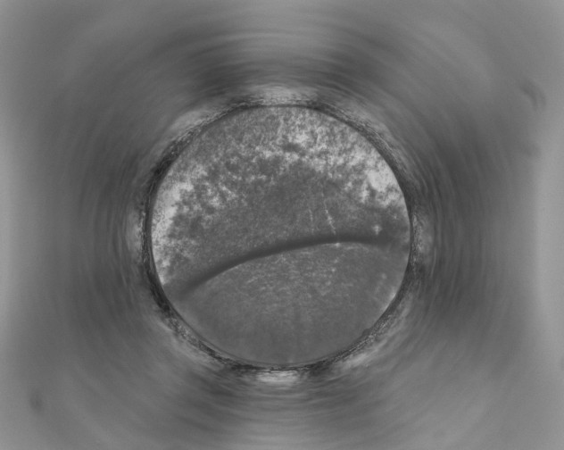 X0000111000357200907311036