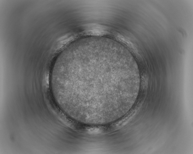 X0000111000358200907311036