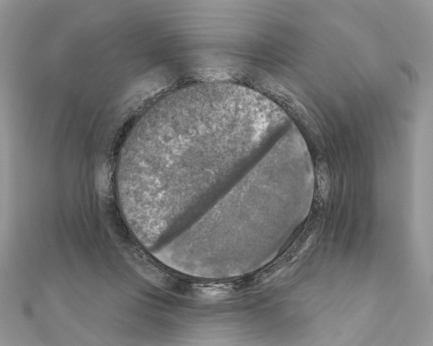 X0000111000359200907311036