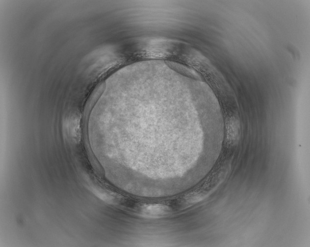 X0000111000360200907311036