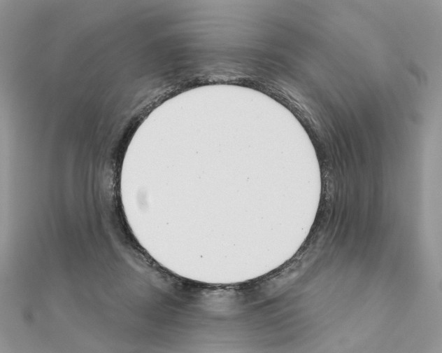 X0000111000362200907311036