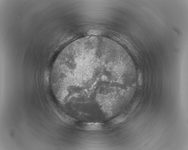 X0000111000363200907311036