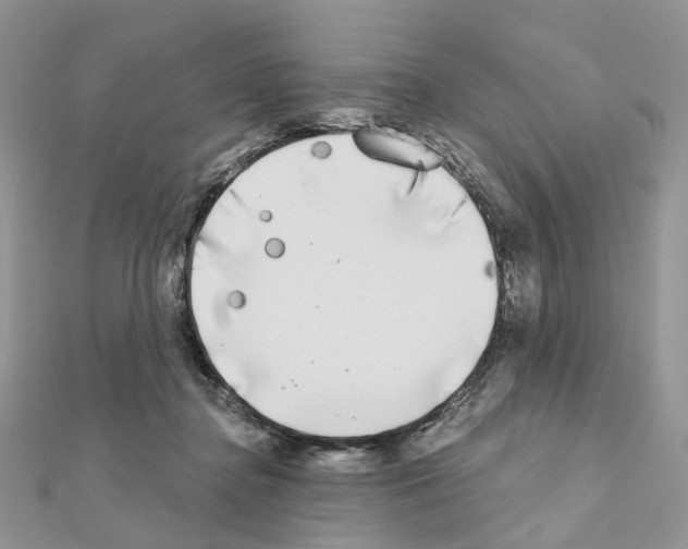 X0000111000364200907311036