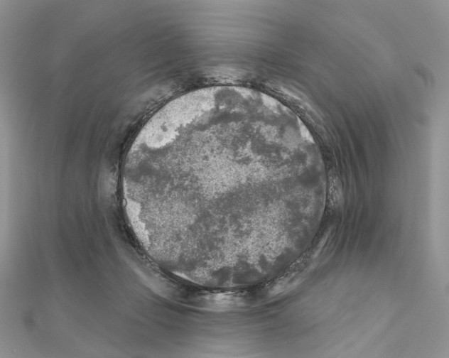 X0000111000365200907311036