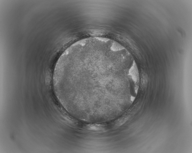 X0000111000367200907311036