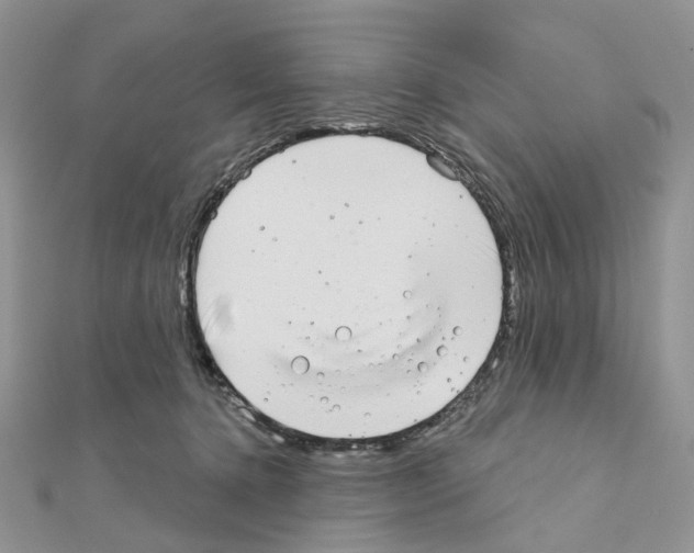 X0000111000368200907311036