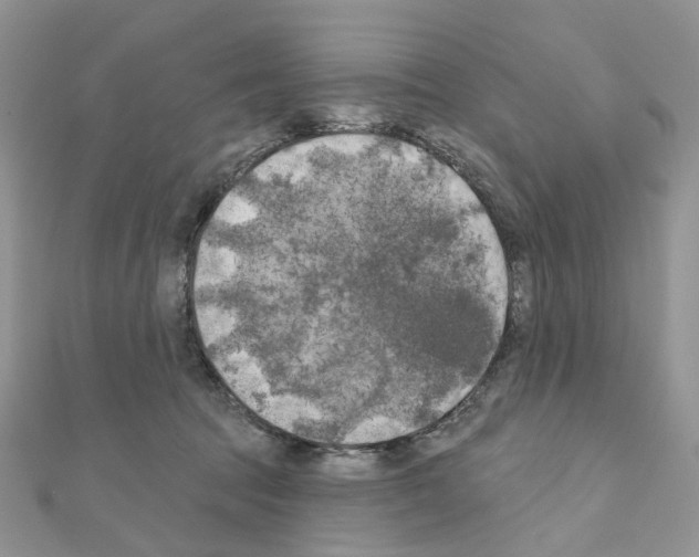 X0000111000369200907311036