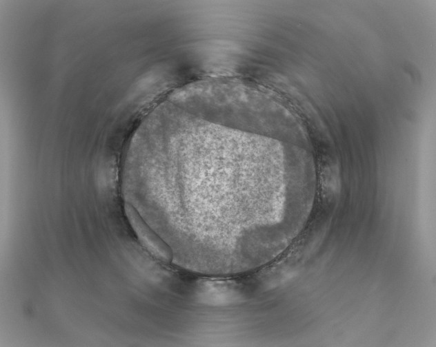 X0000111000372200907311036