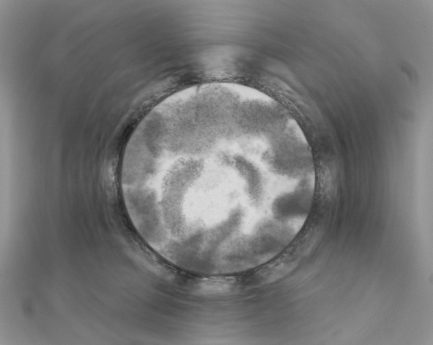 X0000111000373200907311036