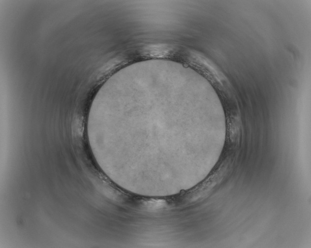 X0000111000374200907311036