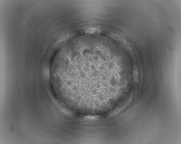 X0000111000375200907311036